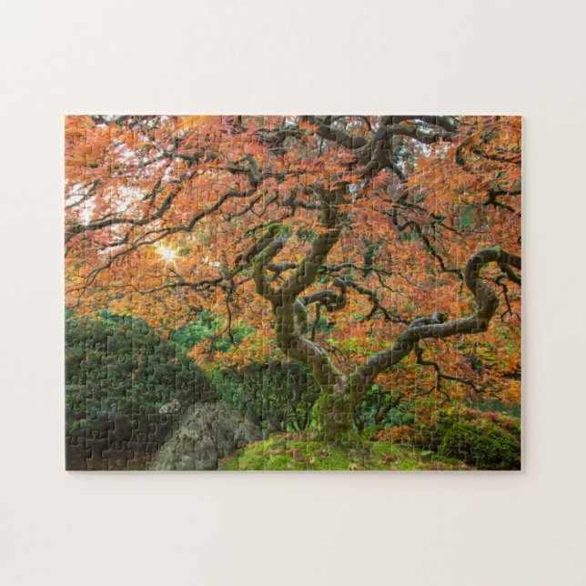 Puzzle Érable aux jardins japonais en automne (Horizontal)
