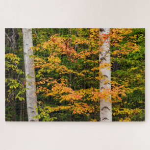 Puzzle Érable et bouleau blanc White Mountains, NH