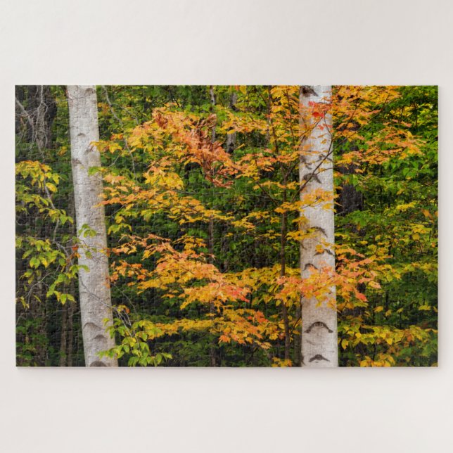 Puzzle Érable et bouleau blanc | White Mountains, NH (Horizontal)