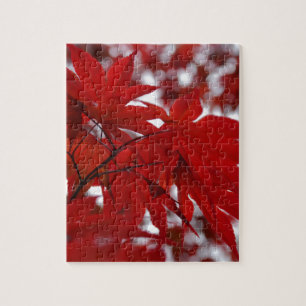 Puzzle Érable japonais