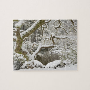 Puzzle Érable japonais enneigé