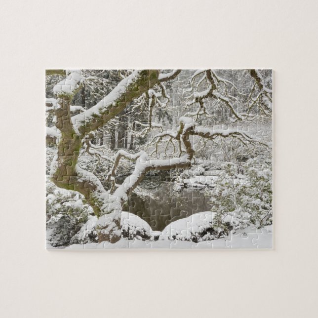 Puzzle Érable japonais enneigé (Horizontal)