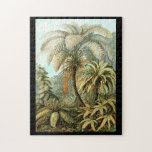 Puzzle Ernst Haeckel Filicinae<br><div class="desc">Le quatre-vingt-douzième plat du der Natur de Kunstformen d'Ernst Haeckel de 1904.</div>