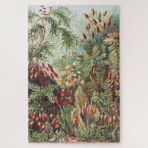 Puzzle Ernst Haeckel Impression de la nature de la mousse