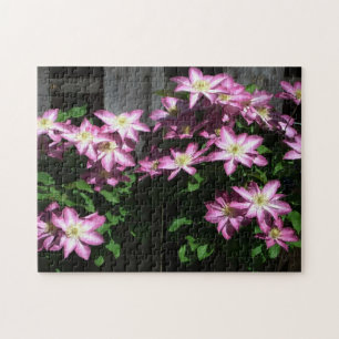 Puzzle Escalade Clematis Fleurs de printemps violettes