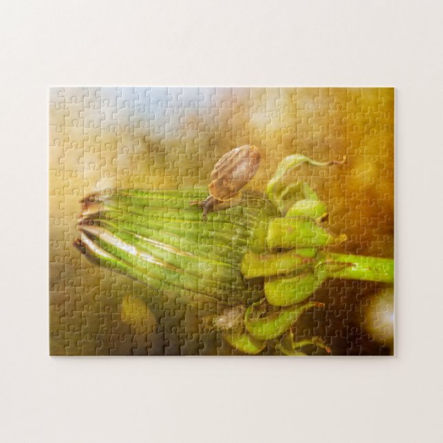 Puzzle Escargot en migration   ... (Horizontal)