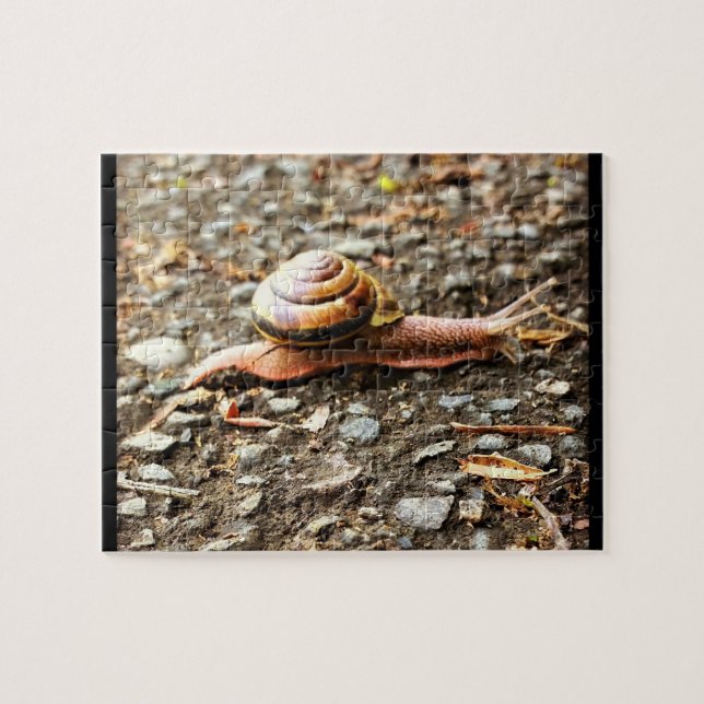 Puzzle Escargot rouge sur le sol (Horizontal)