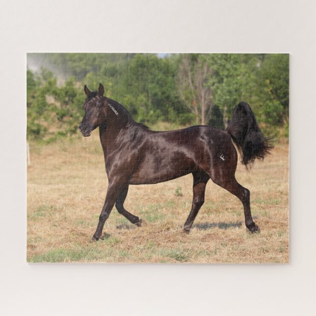 Puzzle Espagnol Brown foncé Mustang Mare marcher (Horizontal)
