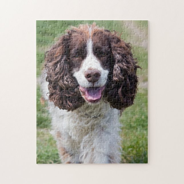 Puzzle Espagnol Springer anglais (Vertical)
