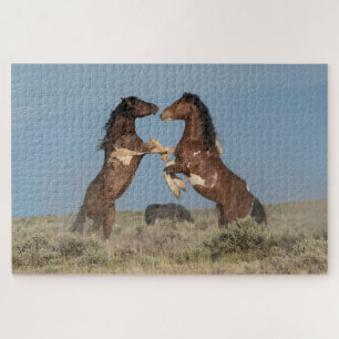 Puzzle Étalons de chevaux sauvages se battant