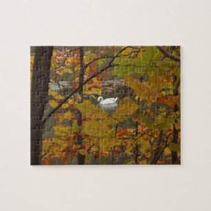 Puzzle Étang d'automne avec cygne