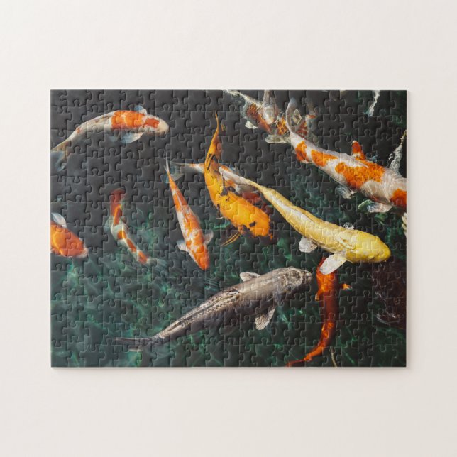 Puzzle Etang de poisson asiatique Koi orange et blanc (Horizontal)