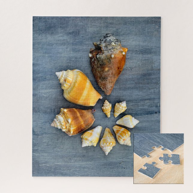 Puzzle Étapes de la vie (Créateur téléchargé)