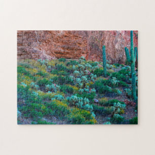 Puzzle États-Unis, Arizona. Flore du désert