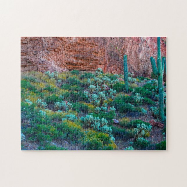 Puzzle États-Unis, Arizona. Flore du désert (Horizontal)