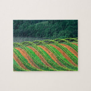 Puzzle États-Unis, Californie, comté de Mendocino, un tre