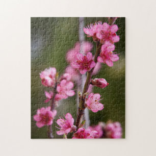 Puzzle États-Unis, Californie. Fleurs roses sur un arbre
