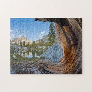 Puzzle États-Unis, Californie, Forêt nationale d'Inyo. Vi