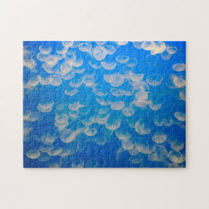 Puzzle États-Unis, Californie. Jellyfish In the Monterey