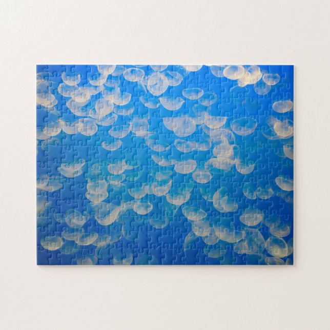 Puzzle États-Unis, Californie. Jellyfish In the Monterey (Horizontal)