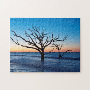 Puzzle États-Unis, Caroline du Sud, Edisto Island, Botany