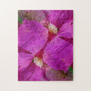 Puzzle États-Unis, Colorado, Boulder. Montage de fleurs d