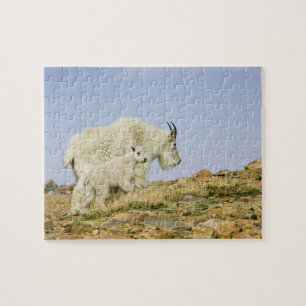 Puzzle États-Unis, Colorado, Montagnes Rocheuses, mont Ev
