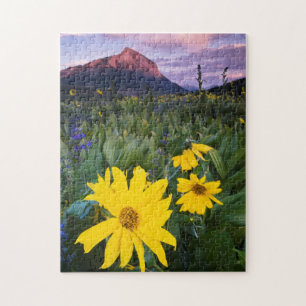 Puzzle États-Unis, Colorado, Mt. Crested Butte
