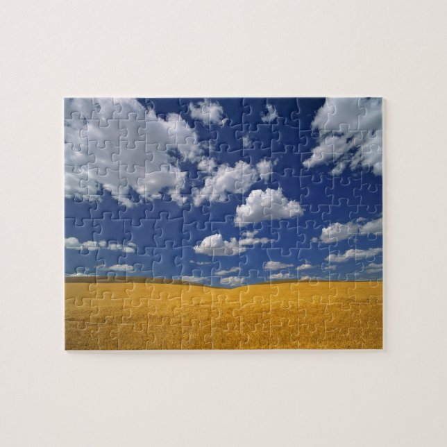 Puzzle États-Unis, État de Washington, Colfax. L'orge mûr (Horizontal)