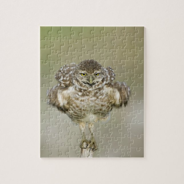 Puzzle États-Unis, Floride, Cape Coral, Gros plan de l'ex (Vertical)