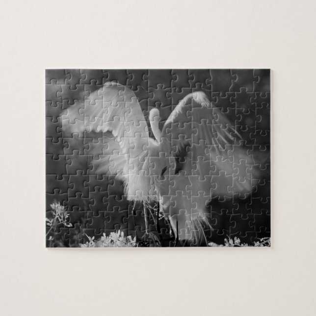 Puzzle États-Unis, Floride, Grande Aigrette (Ardea alba)  (Horizontal)