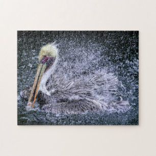 Puzzle États-Unis, Floride. Pélican brun