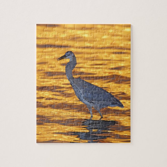 Puzzle États-Unis, Floride, Saint-Pétersbourg, Fort De So (Vertical)