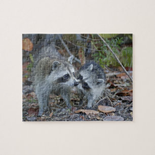 Puzzle États-Unis, Floride, Sanibel, Ding Darling Nationa