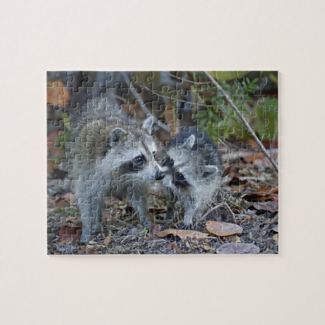 Puzzle États-Unis, Floride, Sanibel, Ding Darling Nationa (Horizontal)