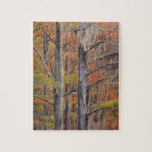 Puzzle États-Unis, Géorgie, parc d'État George Smith, cyp