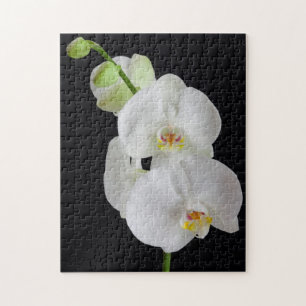 Puzzle États-Unis, Géorgie, Savannah, groupe d'orchidées