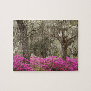 Puzzle Etats-Unis, Géorgie, Savannah, Printemps de l'hist
