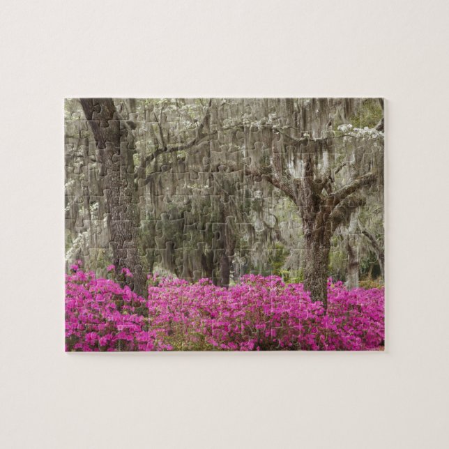 Puzzle Etats-Unis, Géorgie, Savannah, Printemps de l'hist (Horizontal)