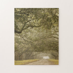 Puzzle États-Unis, Géorgie, Savannah, Une allée bordée de