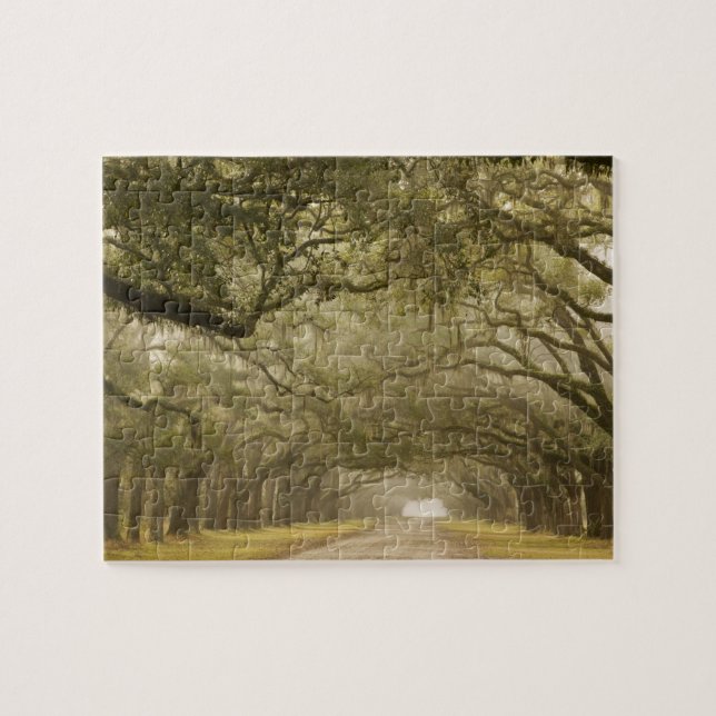 Puzzle États-Unis, Géorgie, Savannah, Une allée bordée de (Horizontal)