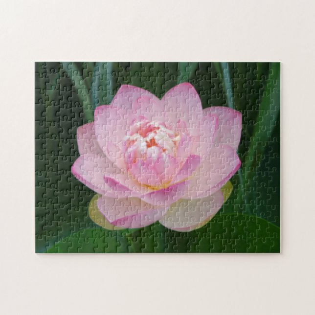Puzzle États-Unis, Kansas, Nénuphar rose (Horizontal)