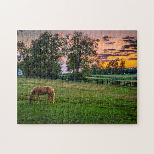 Puzzle États-Unis, Lexington, Kentucky. Cheval solitaire  (Horizontal)
