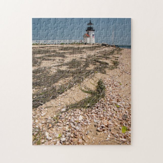 Puzzle États-Unis, Massachusetts, Nantucket. Coquillage (Vertical)