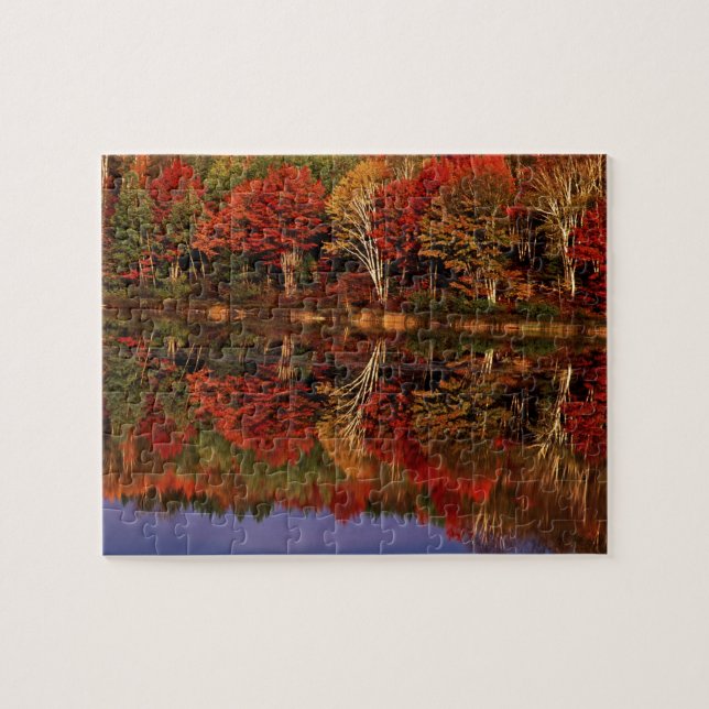 Puzzle États-Unis, Michigan, Upper Peninsula. Automne (Horizontal)