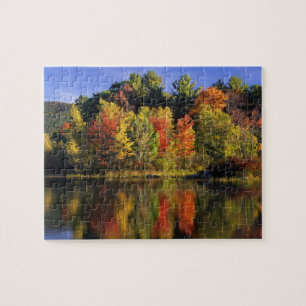 Puzzle États-Unis, New Hampshire, Moultonborough. Arbres