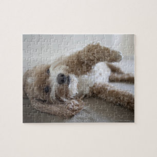 Puzzle États-Unis, New York, New York, Brooklyn, Cockapoo