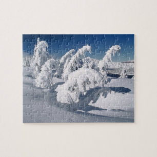 Puzzle États-Unis, Oregon, Crater Lake NP. Les arbres to