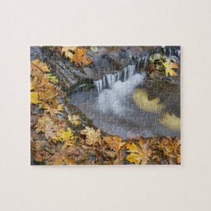 Puzzle États-Unis, Oregon, Sweet Creek. Feuilles d'érable