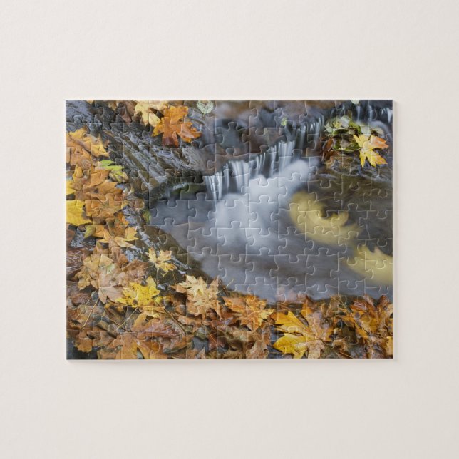 Puzzle États-Unis, Oregon, Sweet Creek. Feuilles d'érable (Horizontal)